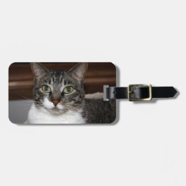 Étiquette À Bagage Chat tigré vous regardant