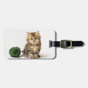 Étiquette À Bagage Chaton avec le fil vert