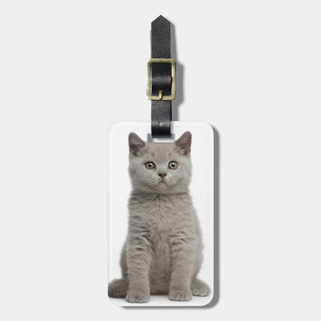 Étiquette À Bagage Chaton britannique de Shorthair (Devant Vertical)
