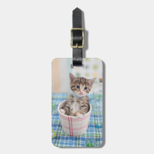 Étiquette À Bagage Chaton de Munchkin avec le joli ruban