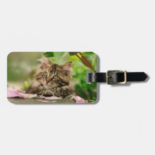 Étiquette À Bagage Chaton mignon de ragondin du Maine