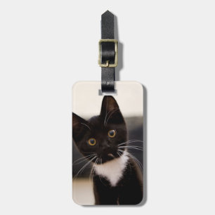 Étiquette À Bagage Chaton noir et blanc mignon de smoking