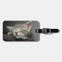 Chaton somnolent