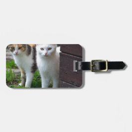 Étiquette À Bagage Chats dehors en train de jouer