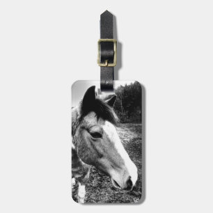 Étiquette À Bagage Cheval