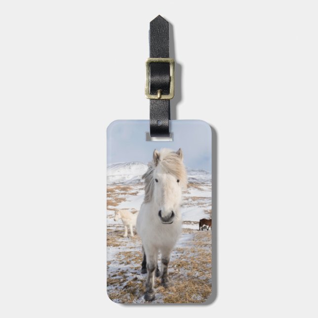 Étiquette À Bagage Cheval Blanc Islandais, Islande (Devant Vertical)