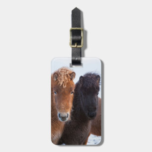 Étiquette À Bagage Cheval islandais en hiver en Islande