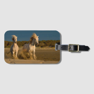 Étiquette À Bagage Chevaux blancs fonctionnant sur la plage