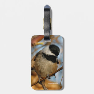 Étiquette À Bagage Chickadee Songbird, Joli Espérant