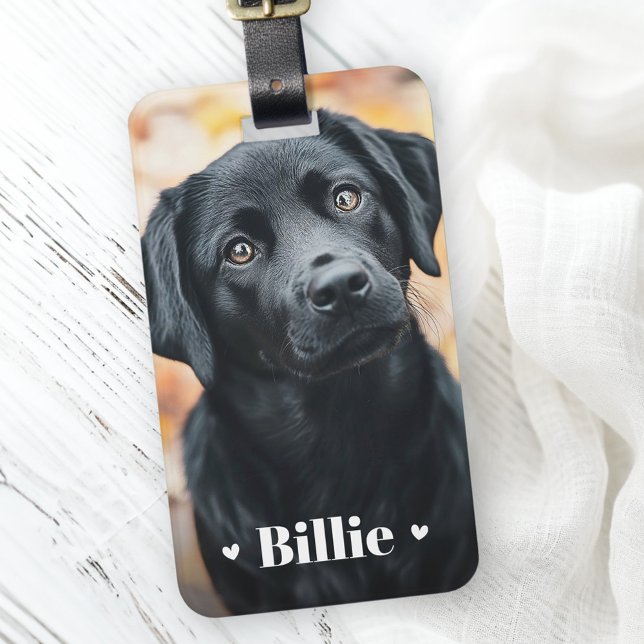 Étiquette À Bagage Chien animal de compagnie nom photo coeur (Pet dog cat photo name hearts luggage tag)