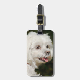 Étiquette À Bagage Chien chiot maltais blanc personnalisé