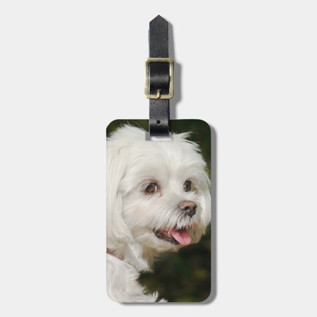 Étiquette À Bagage Chien chiot maltais blanc personnalisé (Devant Vertical)