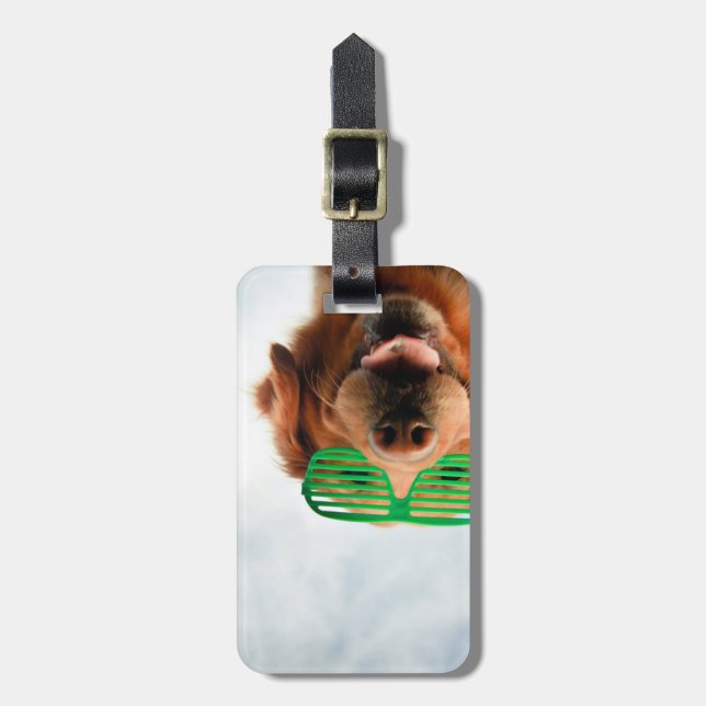 Étiquette À Bagage Chien des images | de Getty avec des verres (Devant Vertical)