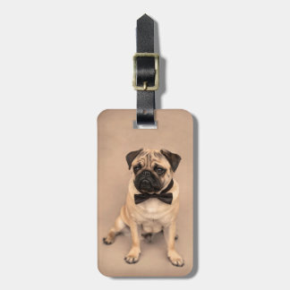 Étiquette À Bagage Chien mignon de carlin de faon avec la cravate