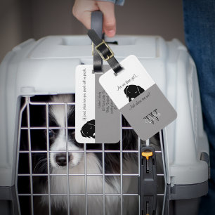 Étiquette À Bagage Chien sournois Où sommes-nous Grey Porte-Animaux d