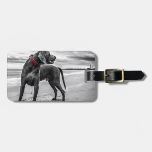 Étiquette À Bagage Chien Weimaraner
