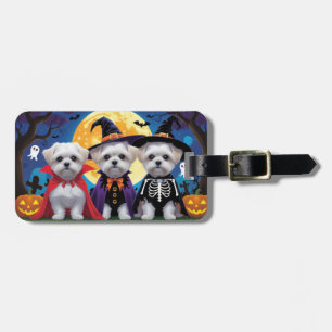 Étiquette À Bagage Chiens maltais Citrouille Halloween drôle