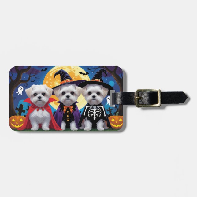 Étiquette À Bagage Chiens maltais Citrouille Halloween drôle (Devant horizontal)