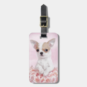 Étiquette À Bagage Chihuahua en rose avec des roses
