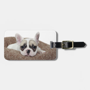 Étiquette À Bagage Chiot de bouledogue français se situant dans un