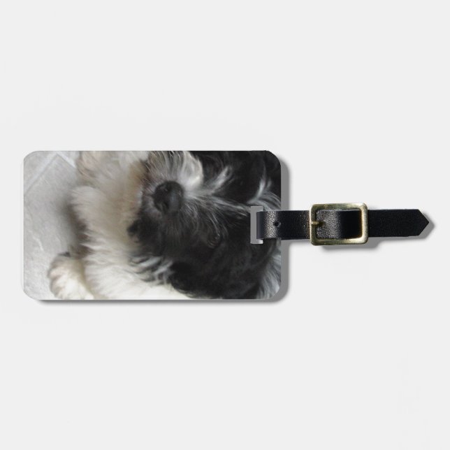 Étiquette À Bagage Chiot de délivrance de Havanese noir et blanc (Devant horizontal)