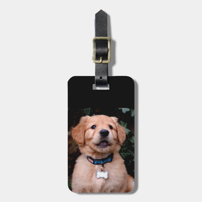 Étiquette À Bagage Chiot Golden Retriever (Devant Vertical)