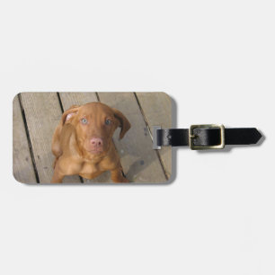 Étiquette À Bagage chiot vizsla