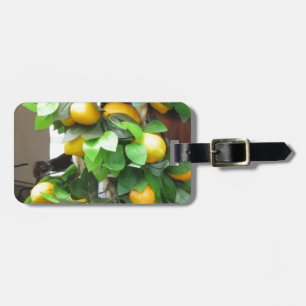 Étiquette À Bagage Citrons