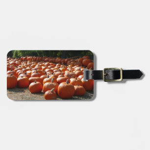 Étiquette À Bagage Citrouille Patch Automne Harvest Photographie