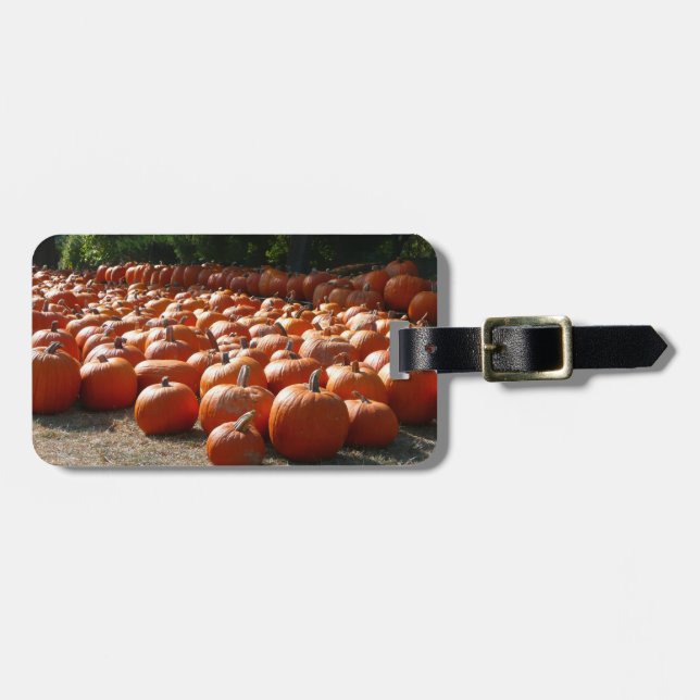 Étiquette À Bagage Citrouille Patch Automne Harvest Photographie (Devant horizontal)