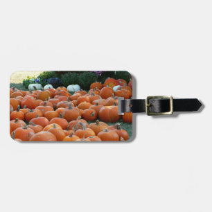 Étiquette À Bagage Citrouilles et Chrysanthèmes Photographie de la ré