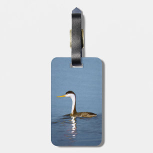 Étiquette À Bagage Clark's Grebe Painting - Art original pour les ois