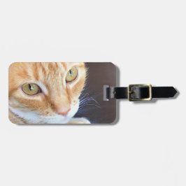 Étiquette À Bagage Closeuse du chat orange