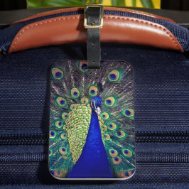 Étiquette À Bagage Cobalt Blue Peacock
