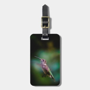 Étiquette À Bagage Colibri à gorge rubis - Photo originale