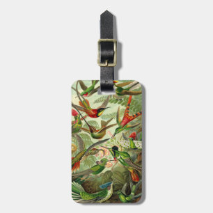 Étiquette À Bagage Colibri de Trochilidae d'Ernst Haeckel