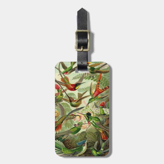 Étiquette À Bagage Colibri de Trochilidae d'Ernst Haeckel (Devant Vertical)