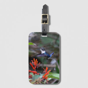 Étiquette À Bagage Colibri en vol et fleurs rouges