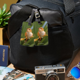 Étiquette À Bagage Colibri roux au repos