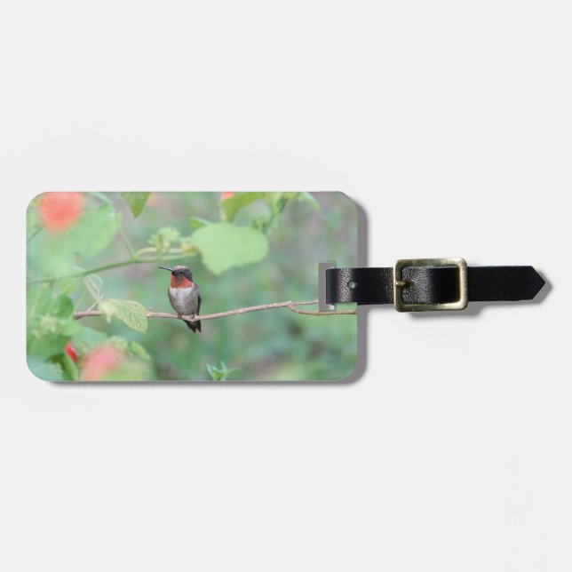Étiquette À Bagage Colibri Throsé De Rubis, Personnalisé (Devant horizontal)