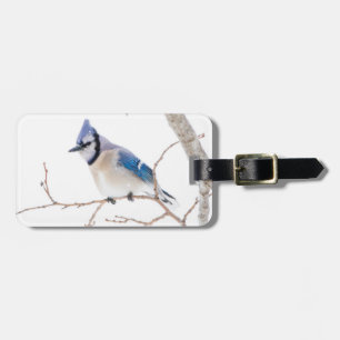 Étiquette À Bagage Comté de Wichita, Texas. Blue Jay