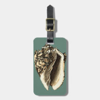 Coque conique turquoise