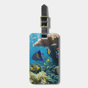 Étiquette À Bagage Corail et poissons en Mer Rouge, Egypte