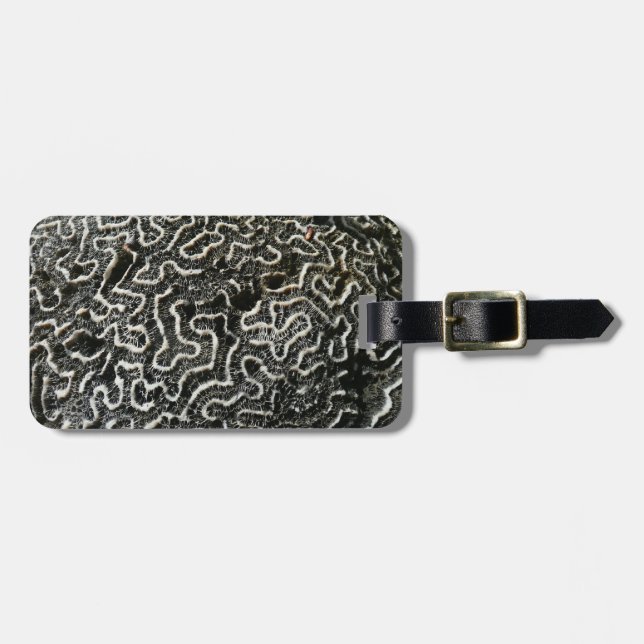 Étiquette À Bagage Corail noir et blanc II Abstrait Nature Photo (Devant horizontal)
