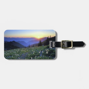 Étiquette À Bagage Coucher de soleil de Point d'obstruction, Pôle oly