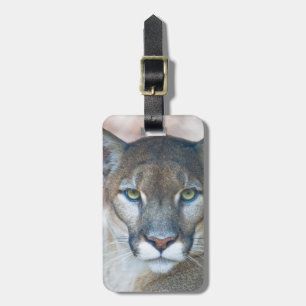 Étiquette À Bagage Cougar, lion de montagne, panthère de Floride, Pum