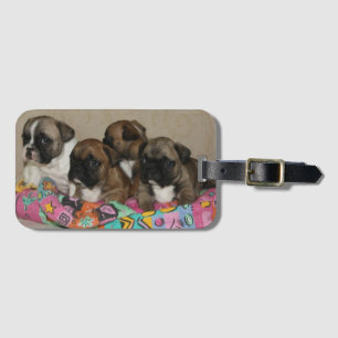 Étiquette À Bagage Coussin Bouledogues Français French Bulldog