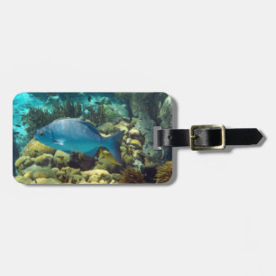 Étiquette À Bagage Coutume de poissons de récif