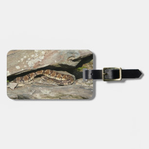 Étiquette À Bagage Crotale dans le parc national de Shenandoah
