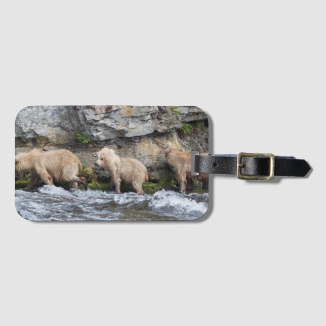 Étiquette À Bagage CUB de 128 Grazer aux automnes de ruisseaux - (Devant Horizontal)